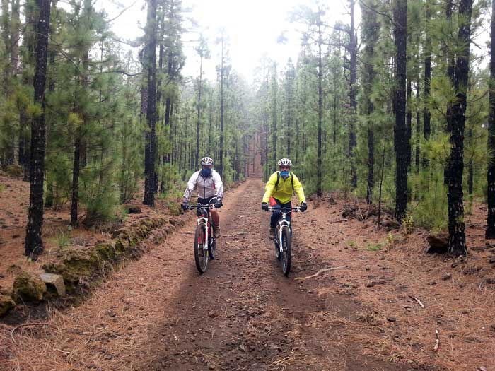 (Español) Ruta para disfrutar en mountain bike en el entorno del Volcán Chinyero, con excelentes vistas del Teide.